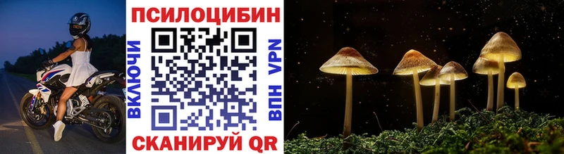 блэк спрут tor  Пустошка  Псилоцибиновые грибы Cubensis  где продают  